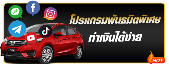 โปรแกรมทำเงินง่าย PGZEED42