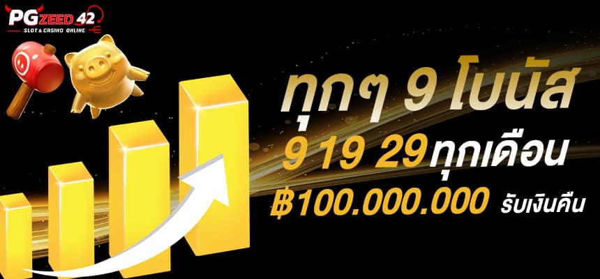 แบนเนอร์ 4 pgzeed.me