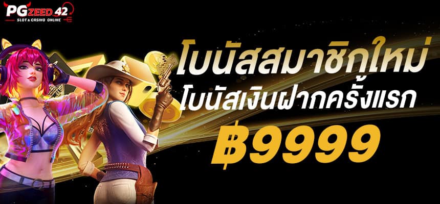 แบนเนอร์ 3 pgzeed.me