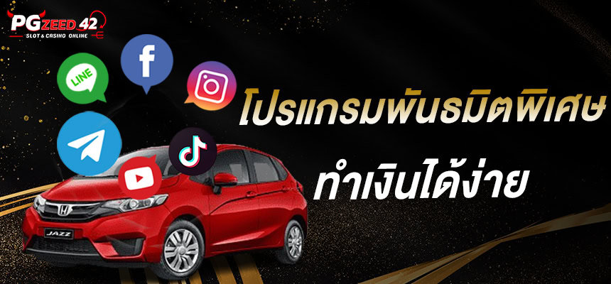 แบนเนอร์ 1 pgzeed.me