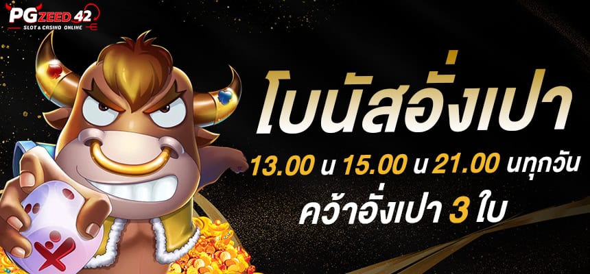 แบนเนอร์ 2 pgzeed.me